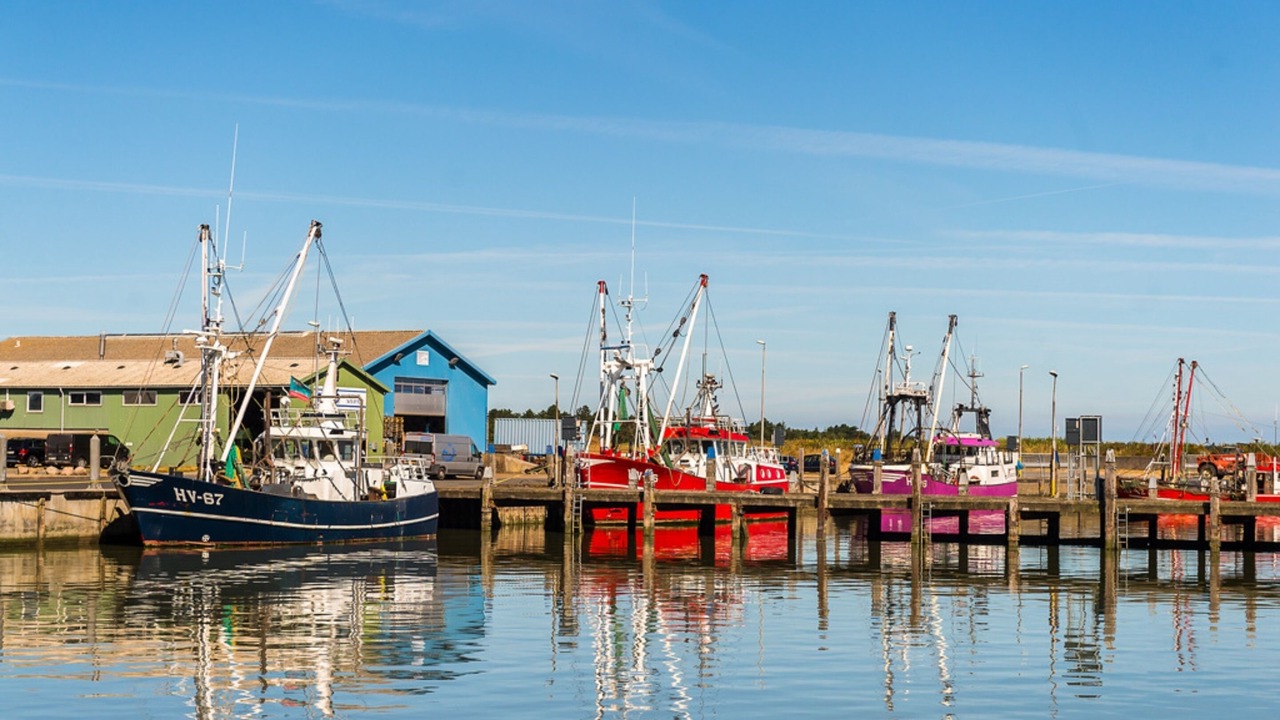 Photo of Others in Lakolk