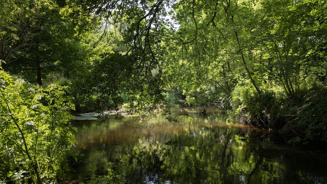 Photo of Outdoor in Malansac