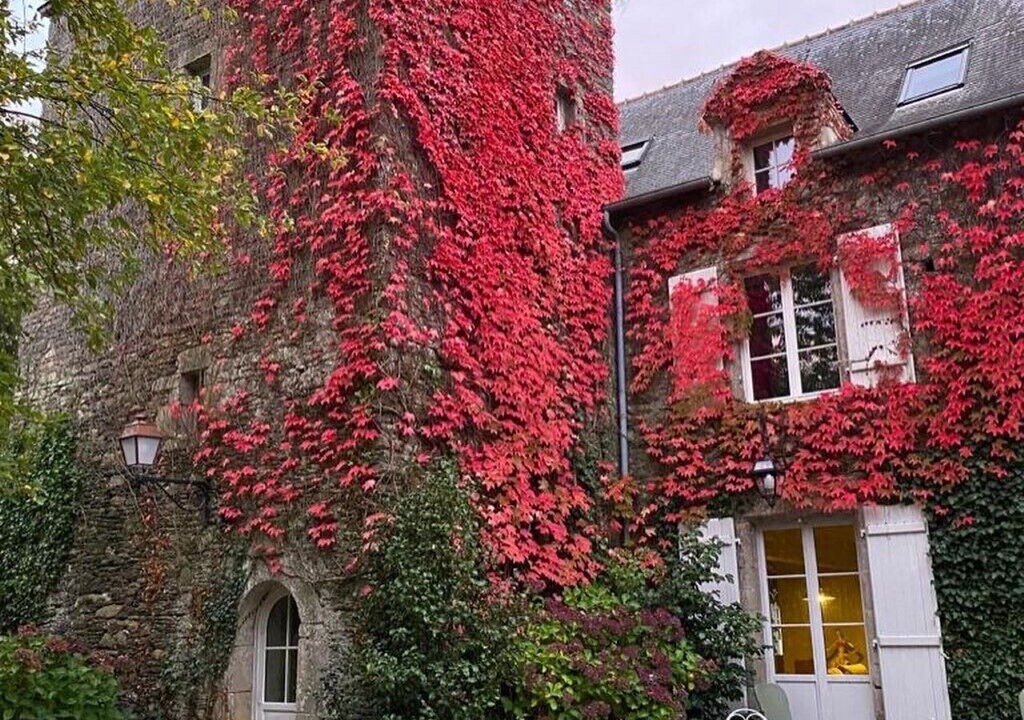 Photo of Outdoor in Malansac