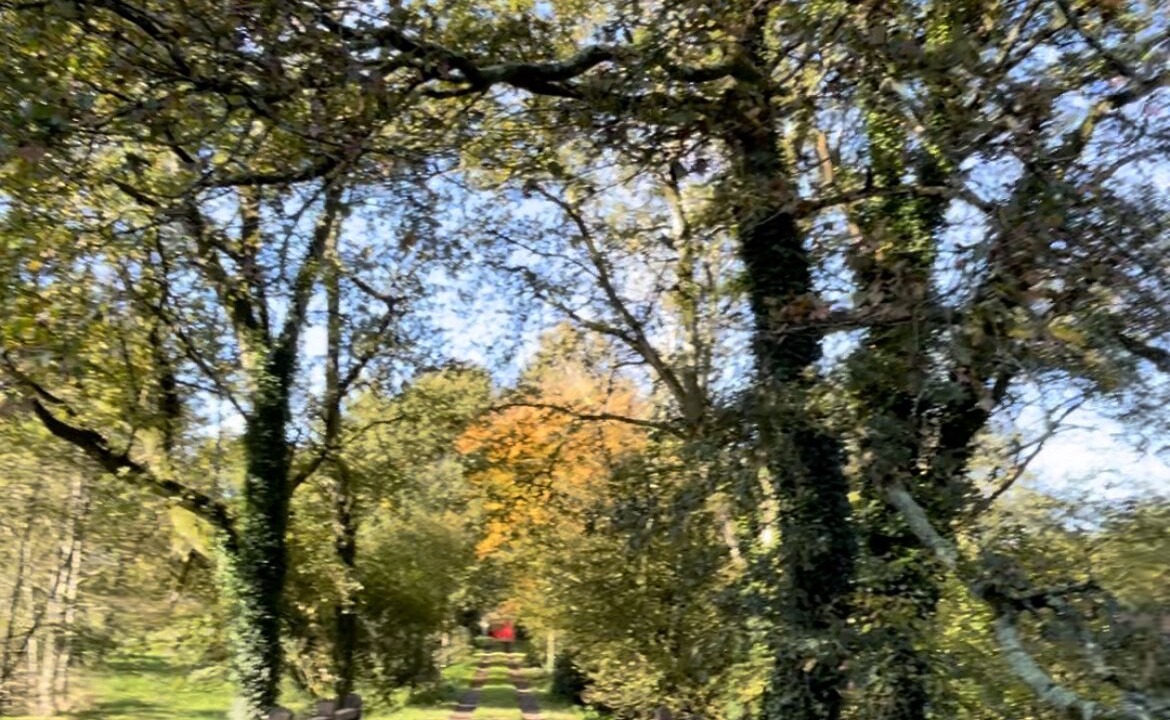 Photo of Outdoor in Malansac