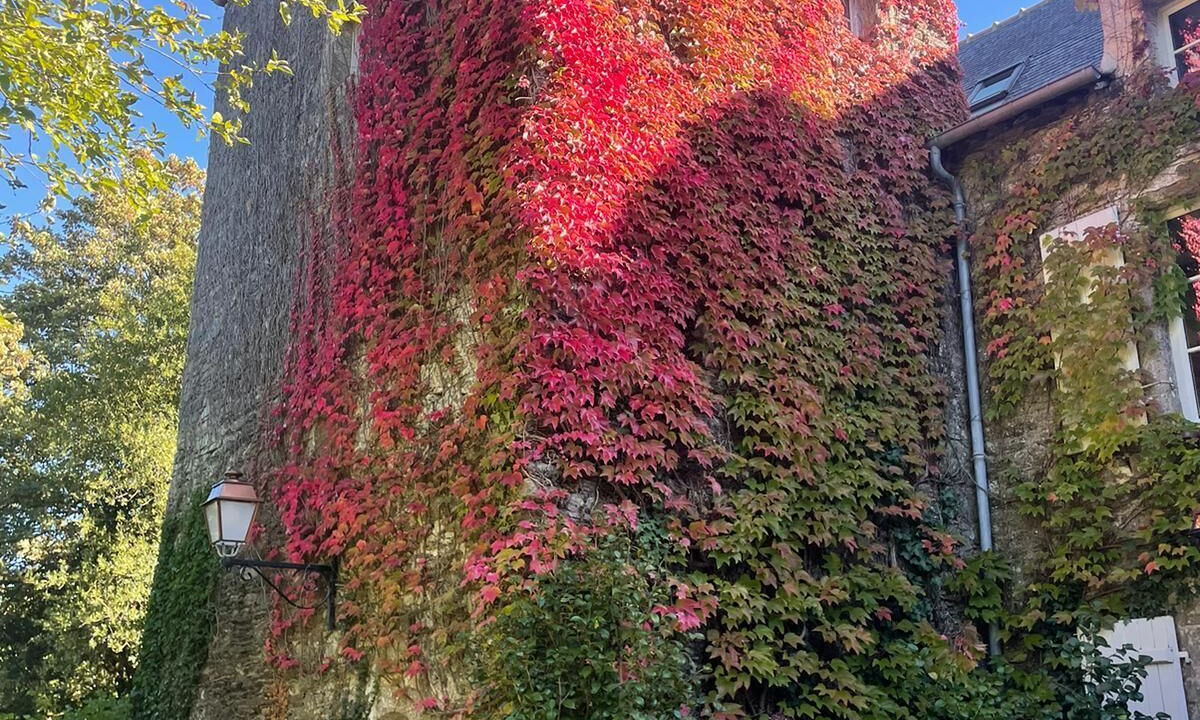 Photo of Outdoor in Malansac