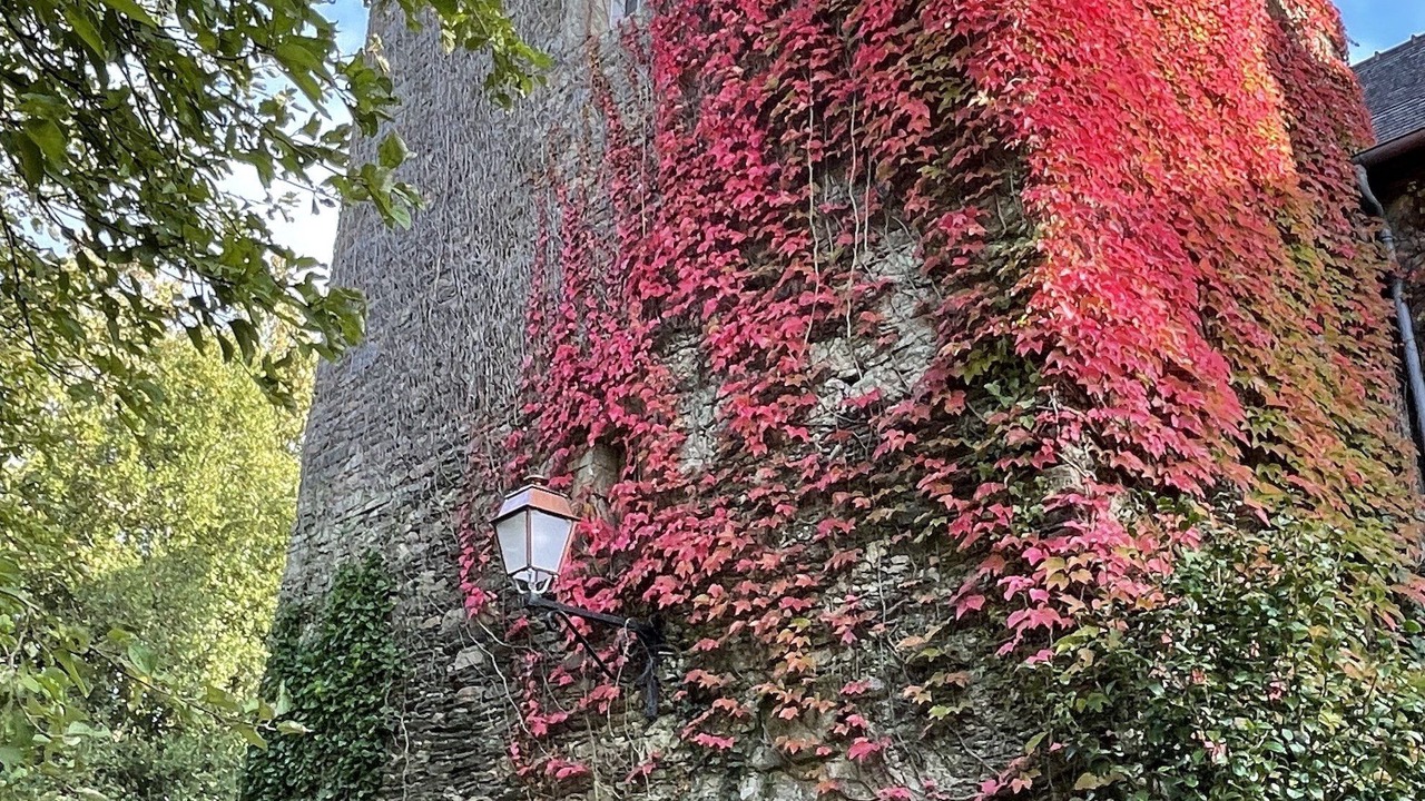 Photo of Outdoor in Malansac