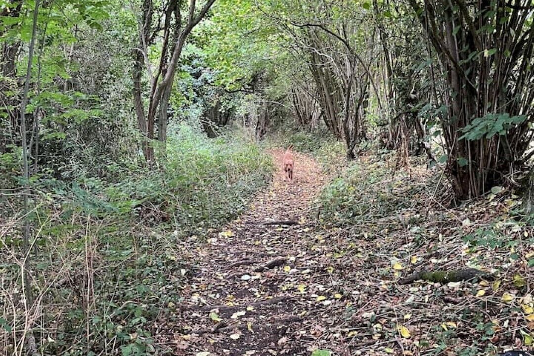 Photo of Outdoor in Inkberrow