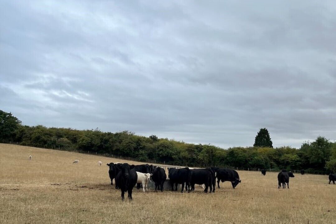 Photo of Others in Inkberrow