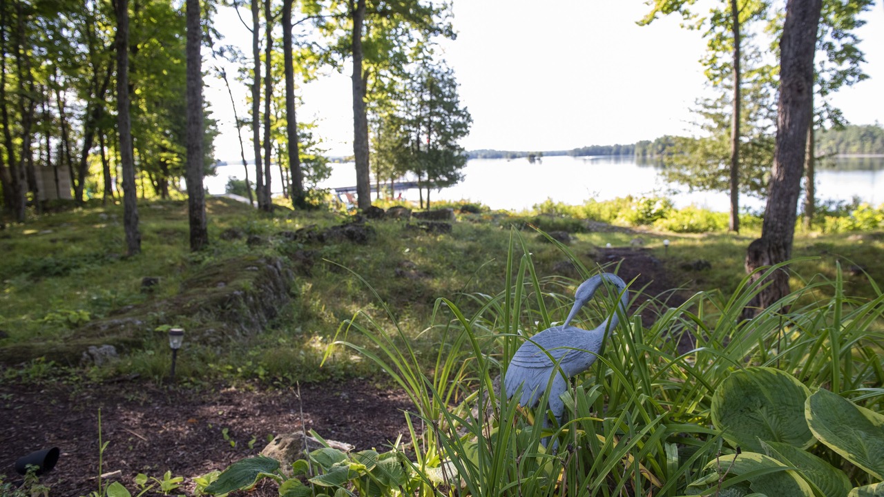 Photo of Outdoor in North Kawartha