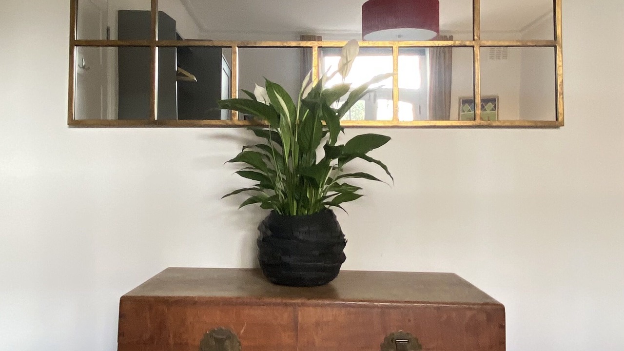 Photo of Others in Harrow Road