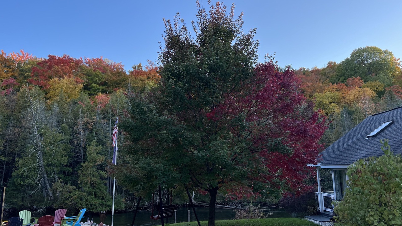 Photo of Outdoor in Mayfield