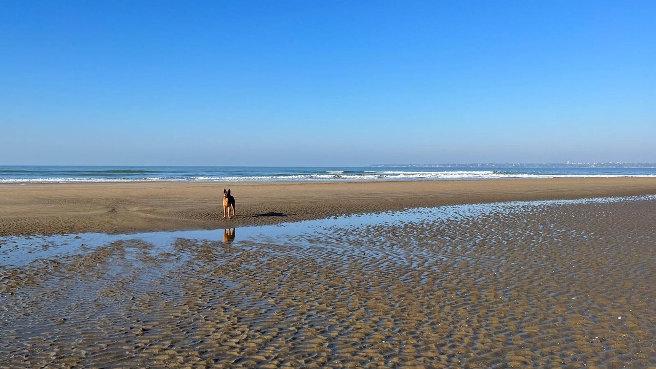 Photo of Others in Saint-Brevin-l'Ocean
