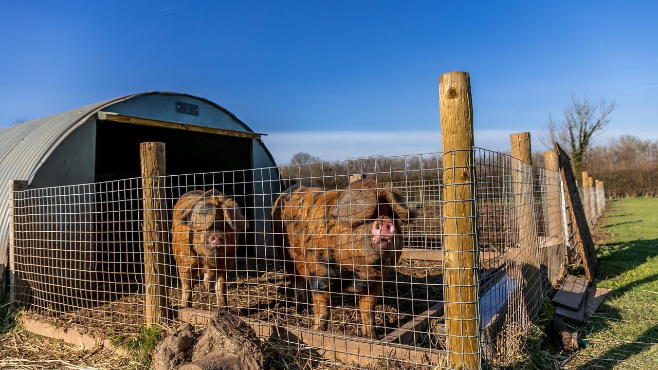 Photo of Outdoor in Wells