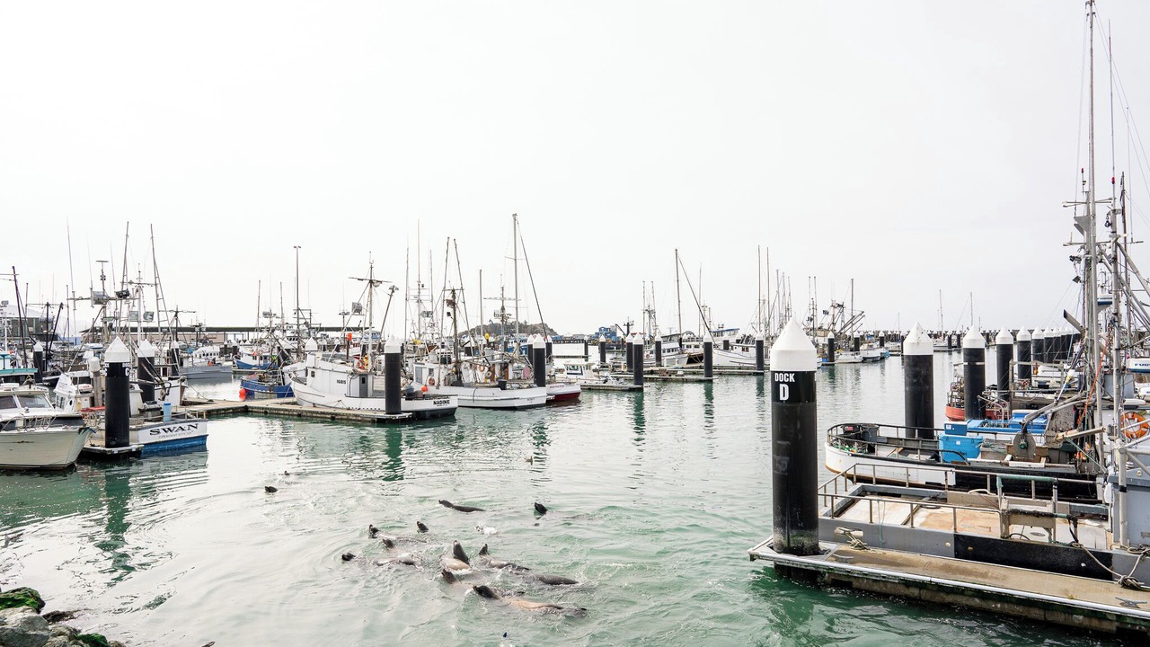 Photo of Others in Crescent City