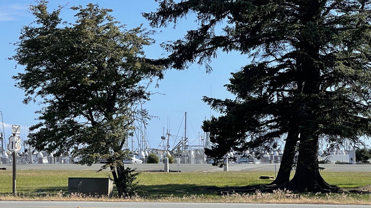 Photo of Others in Crescent City