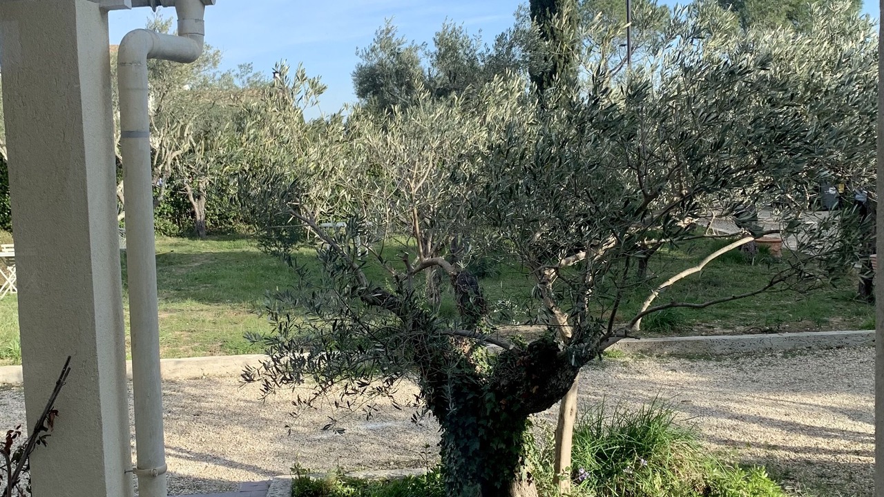 Photo of Outdoor in Vergeze