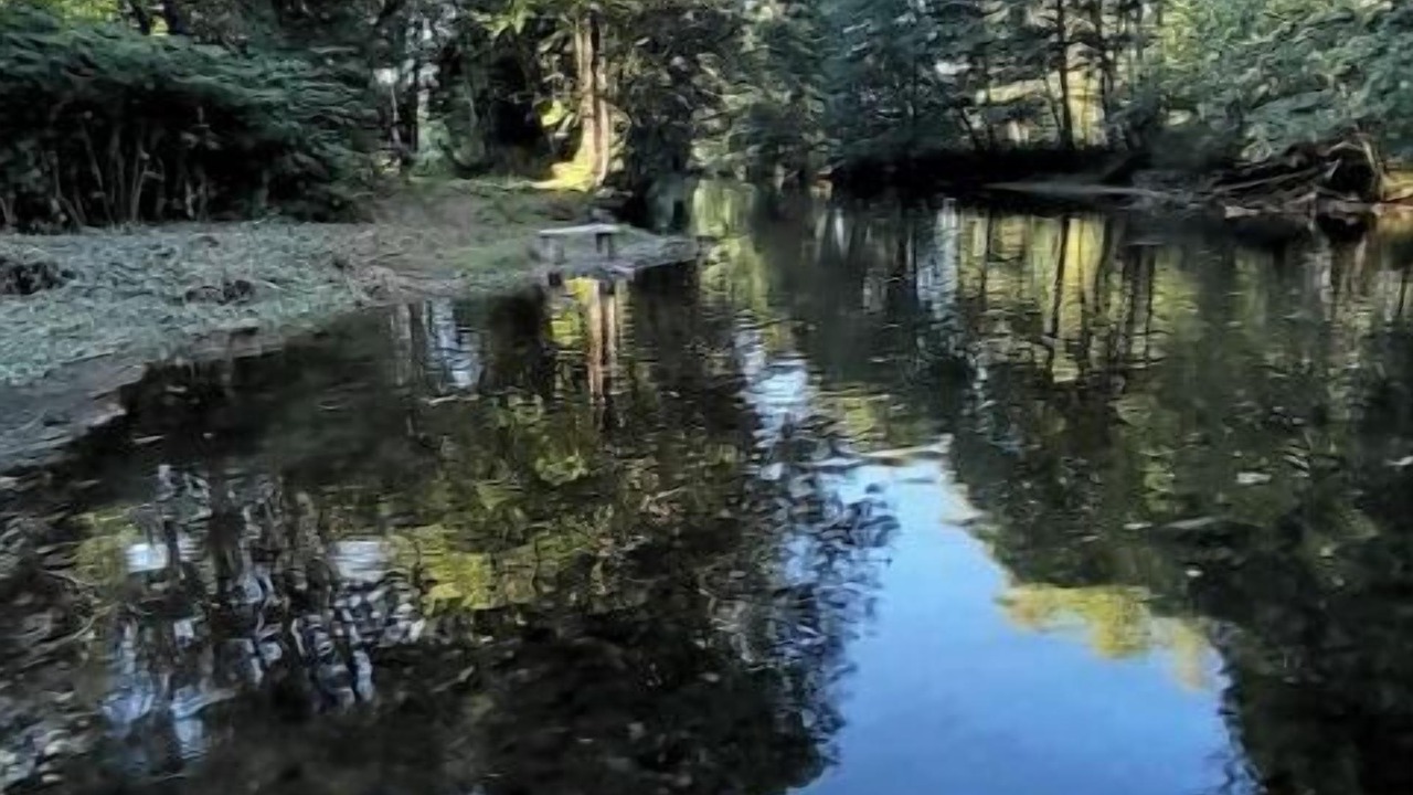 Photo of Outdoor in Belonchamp