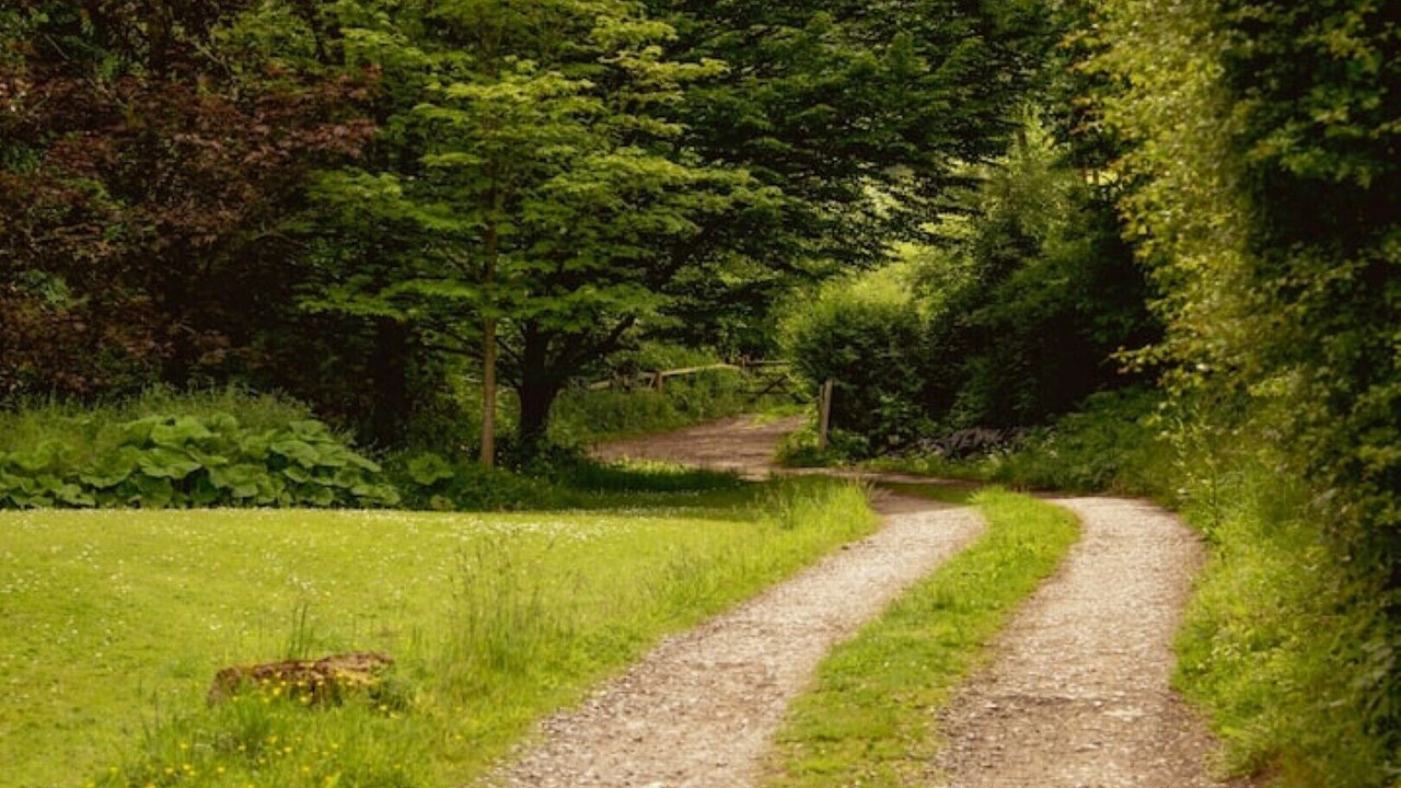 Photo of Others in Bath