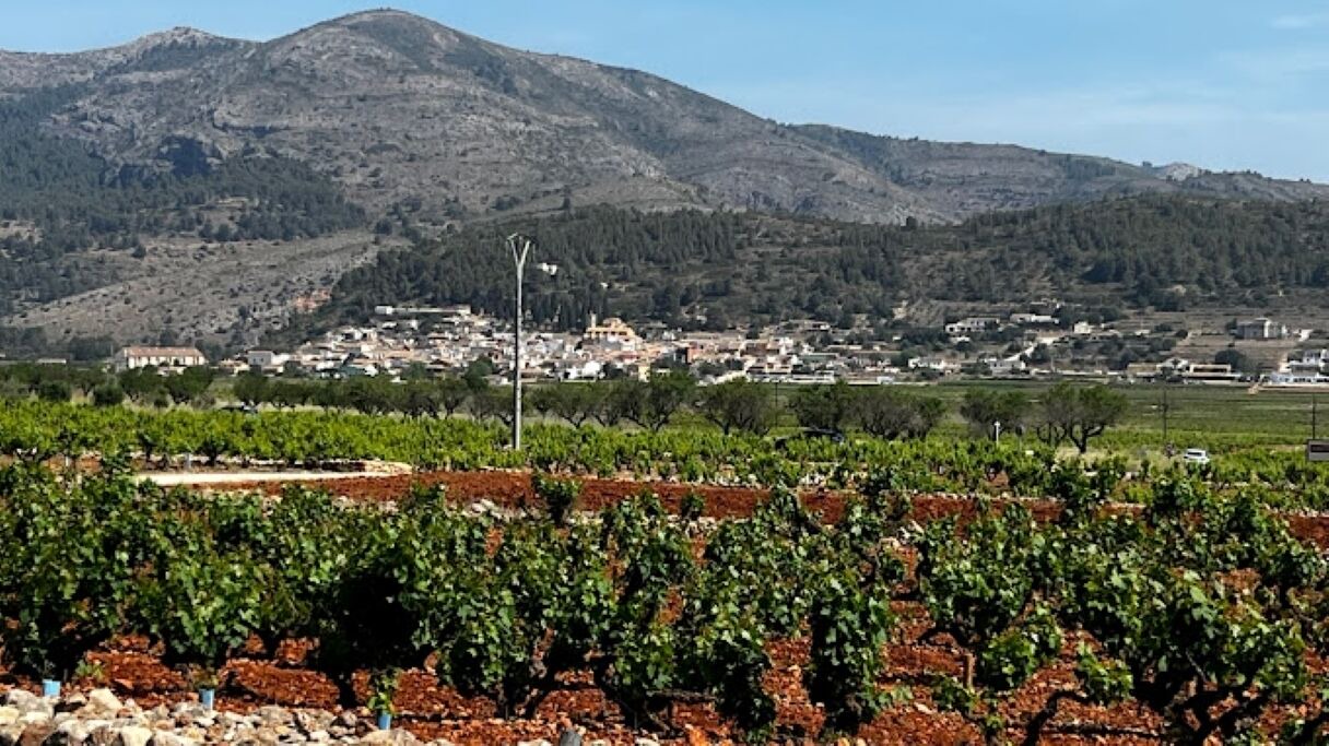 Photo of Others in Lliber
