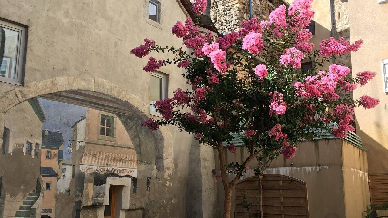 Photo of Outdoor in Florac