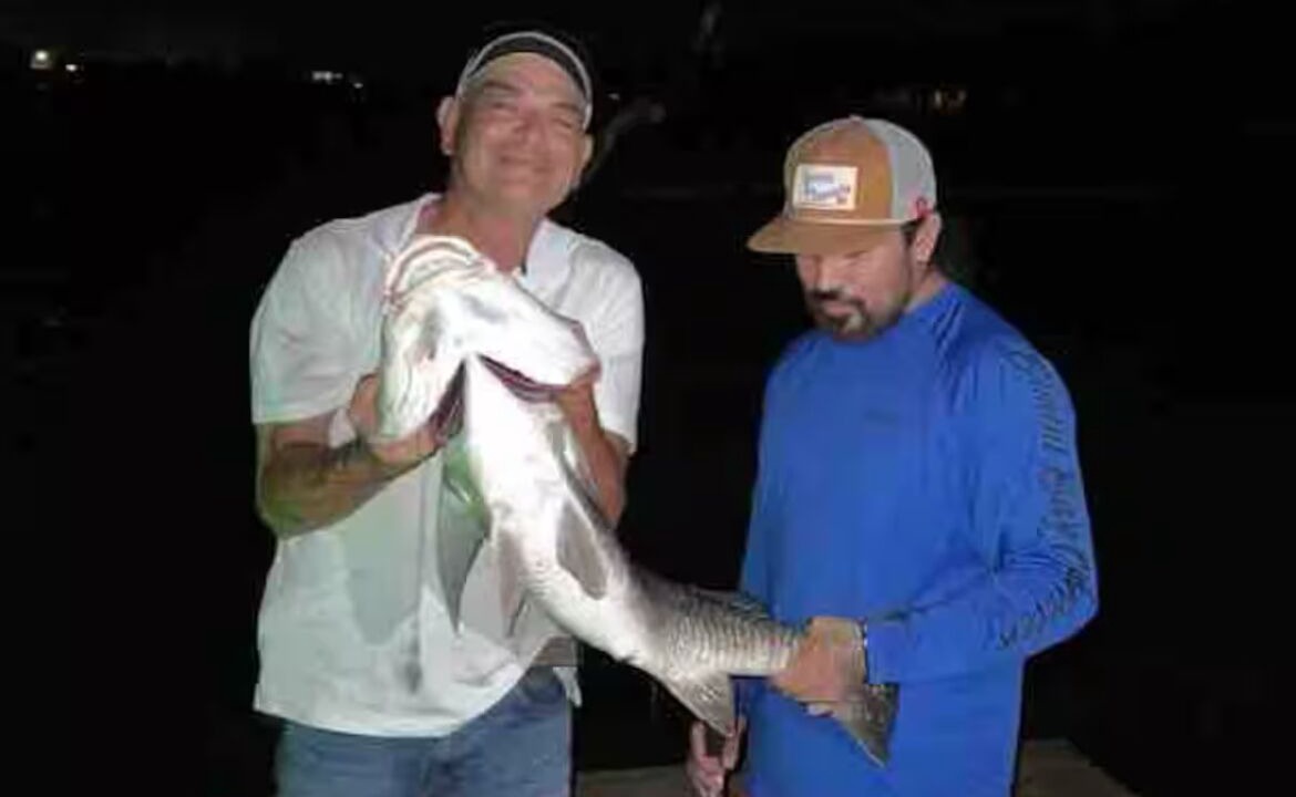 Photo of Others in Port Lavaca