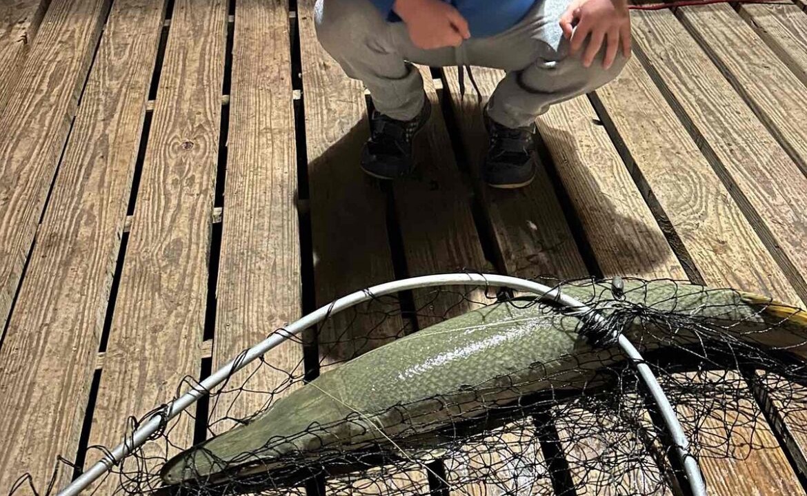 Photo of Others in Port Lavaca