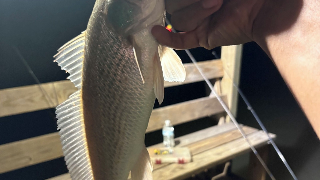 Photo of Others in Port Lavaca