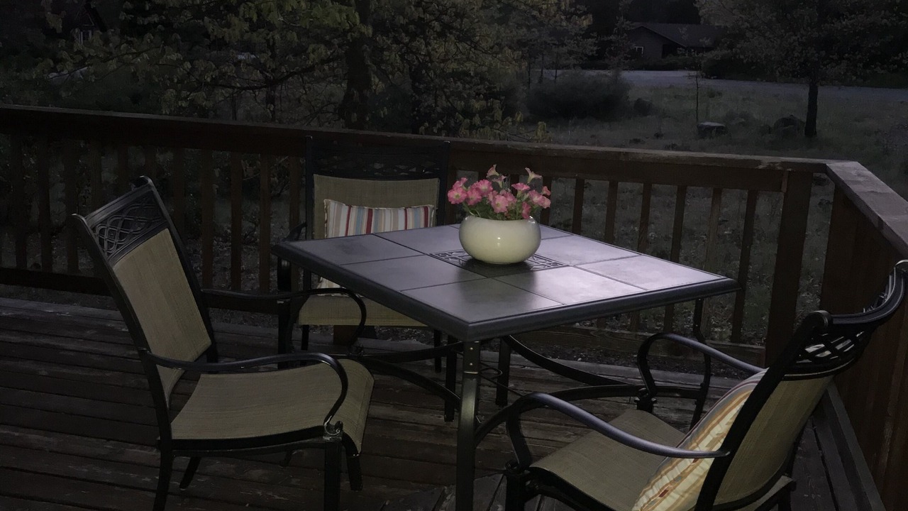 Photo of Others in Mount Shasta