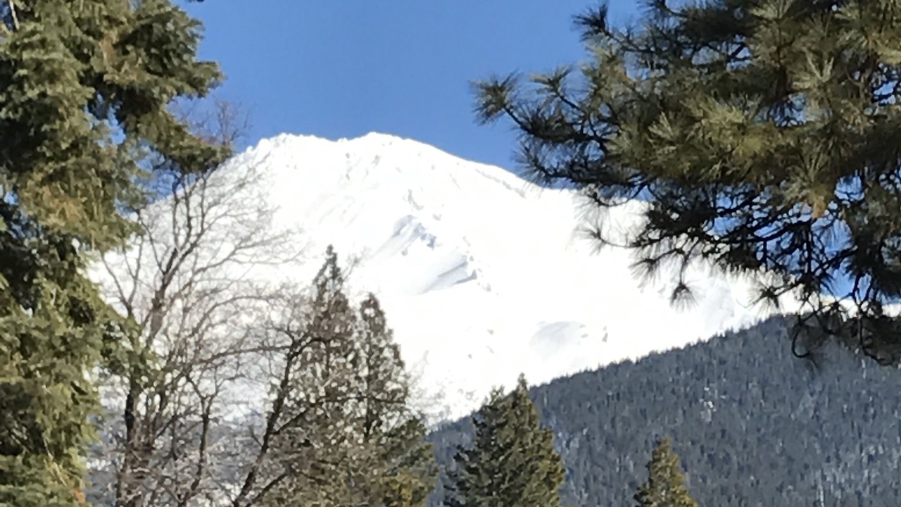 Photo of Others in Mount Shasta
