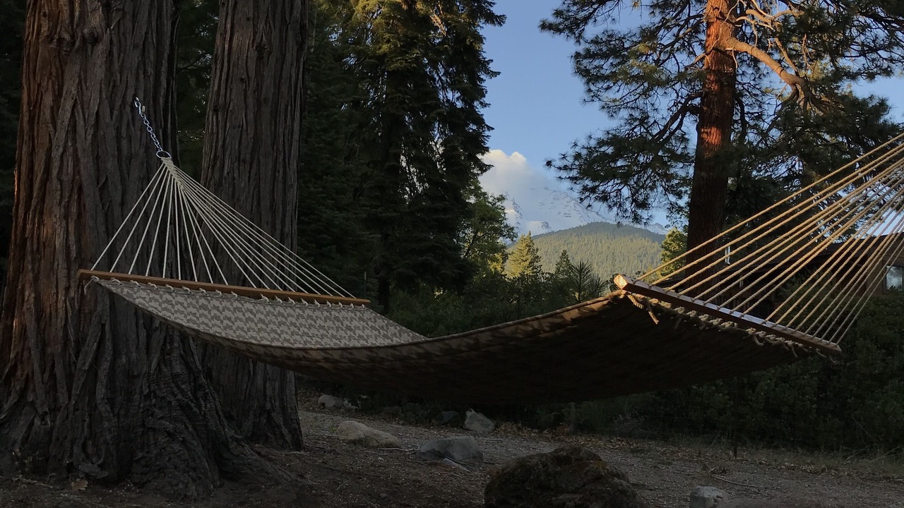 Photo of Others in Mount Shasta