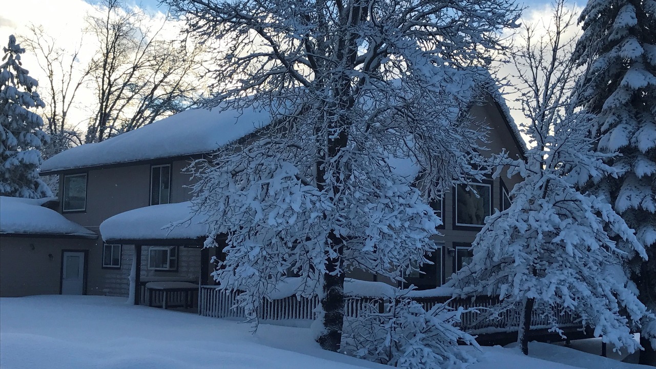 Photo of Others in Mount Shasta