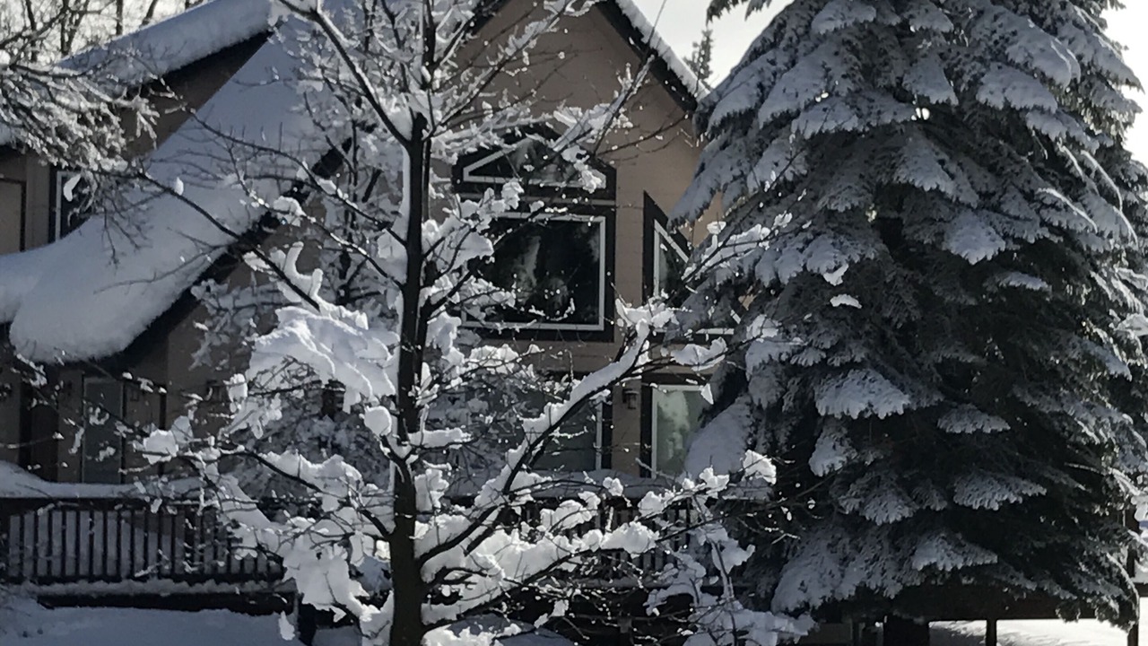 Photo of Others in Mount Shasta