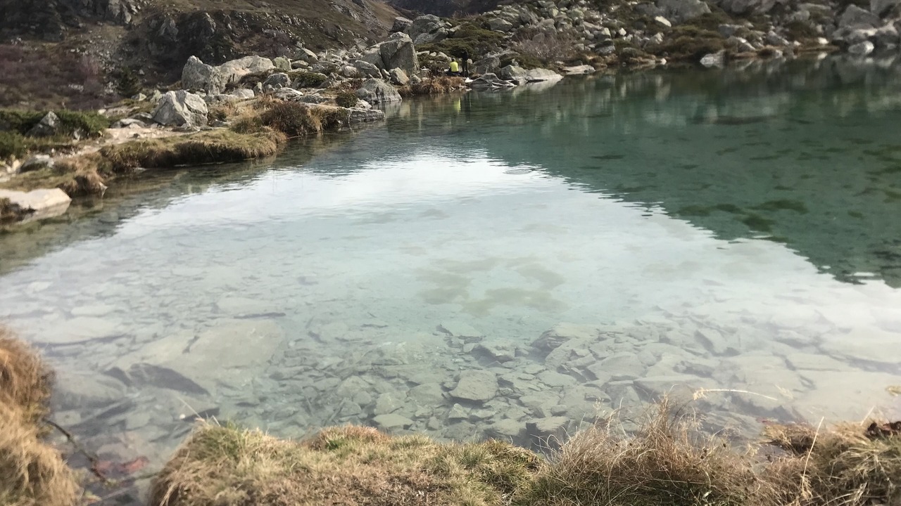 Photo of Others in Orelle