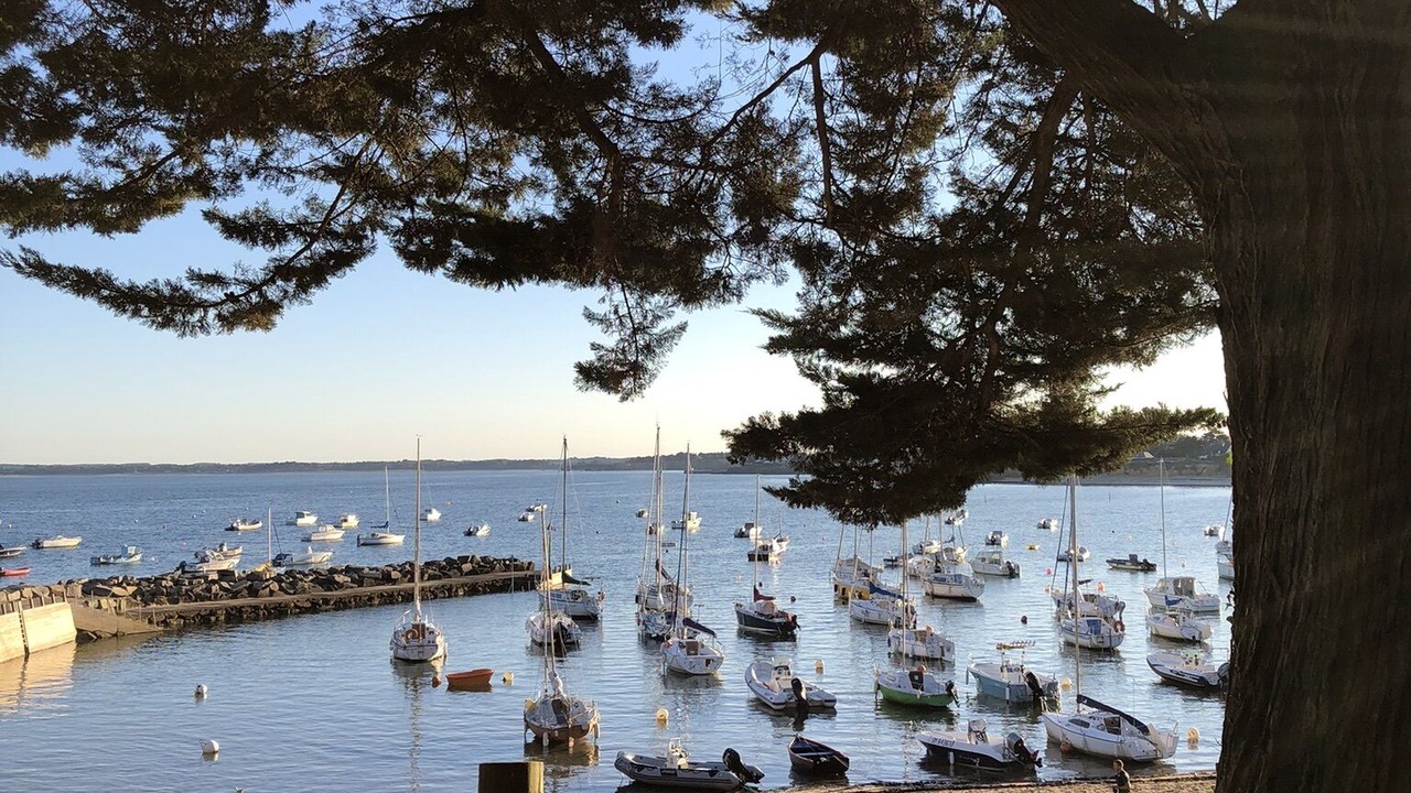 Photo of Others in Quimiac