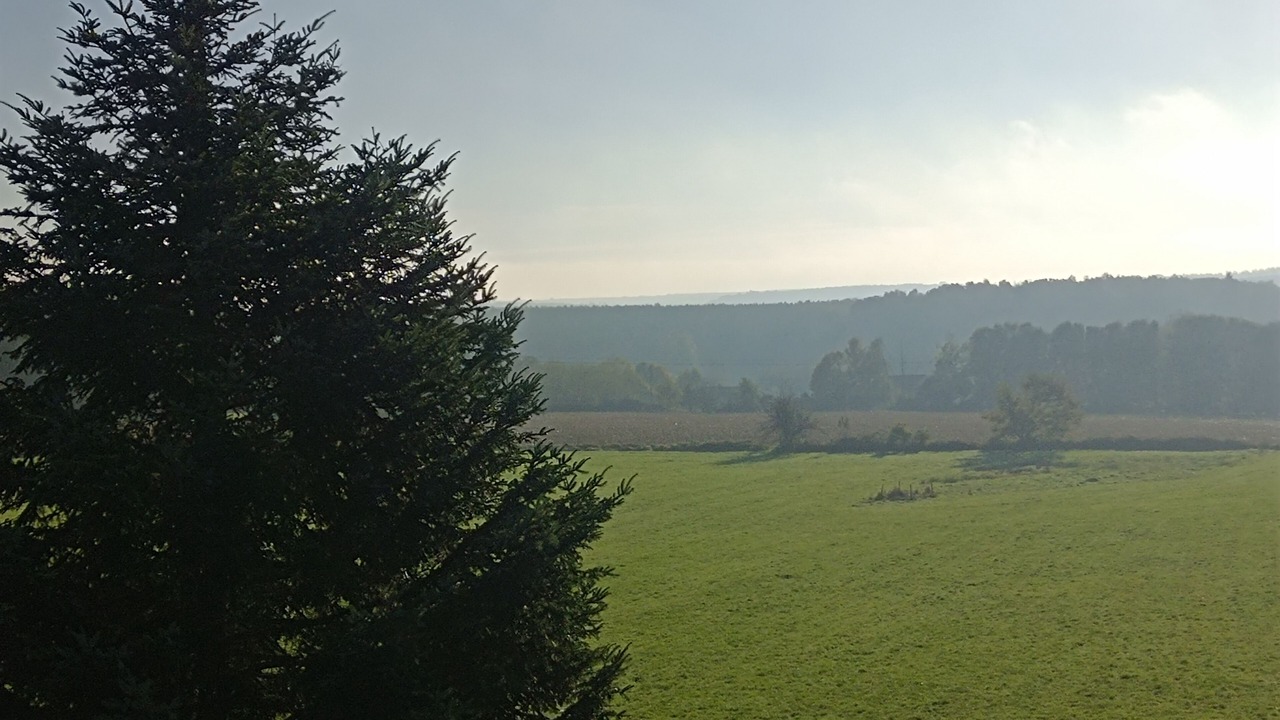 Photo of Others in La Neuville-aux-Joutes