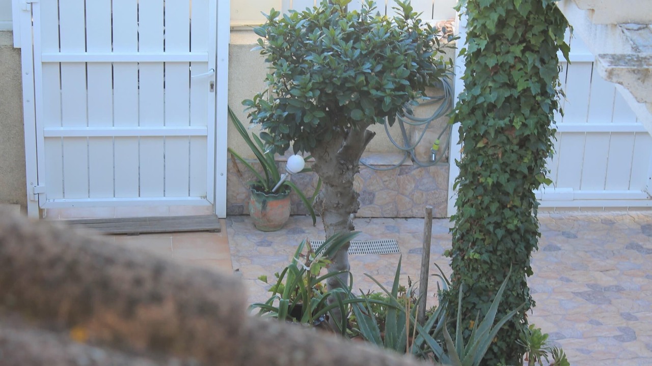 Photo of Outdoor in Roda de Bara