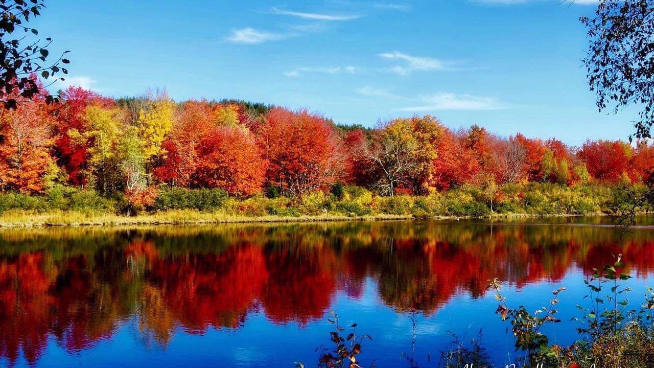 Photo of Outdoor in Canal