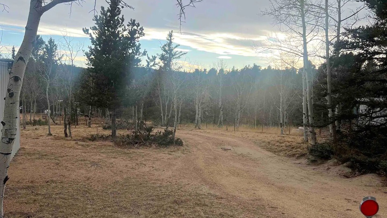 Photo of Outdoor in Woodland Park