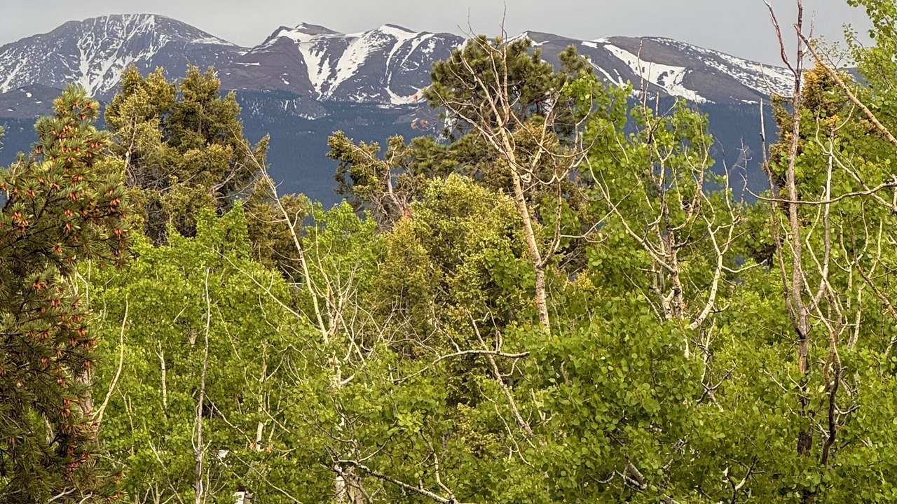 Photo of Outdoor in Woodland Park