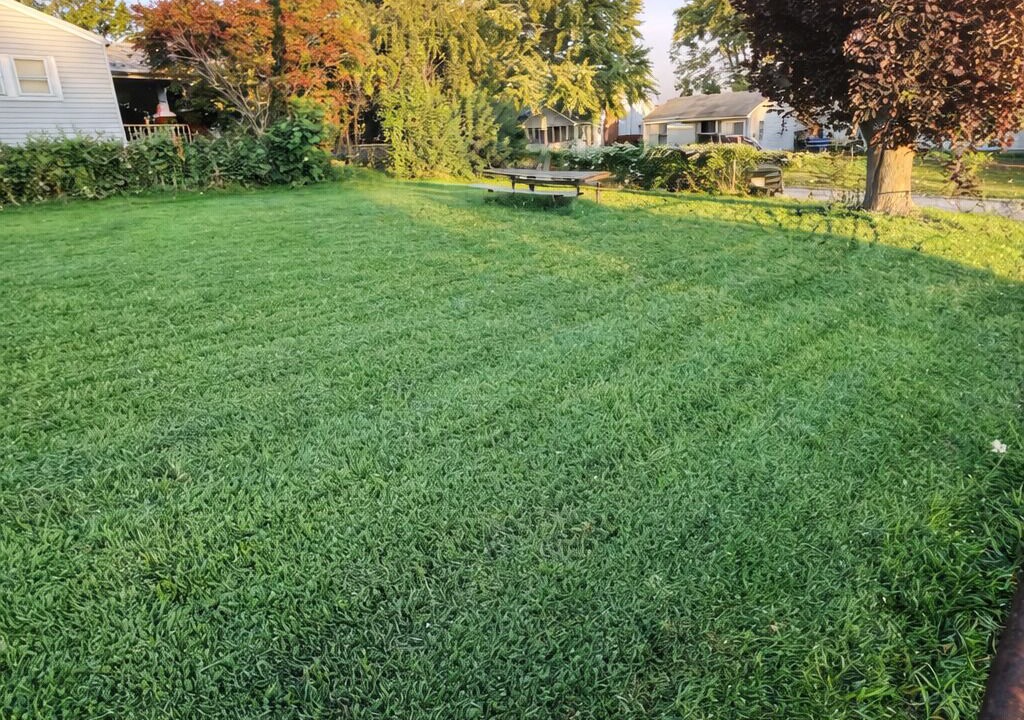 Photo of Outdoor in Decatur