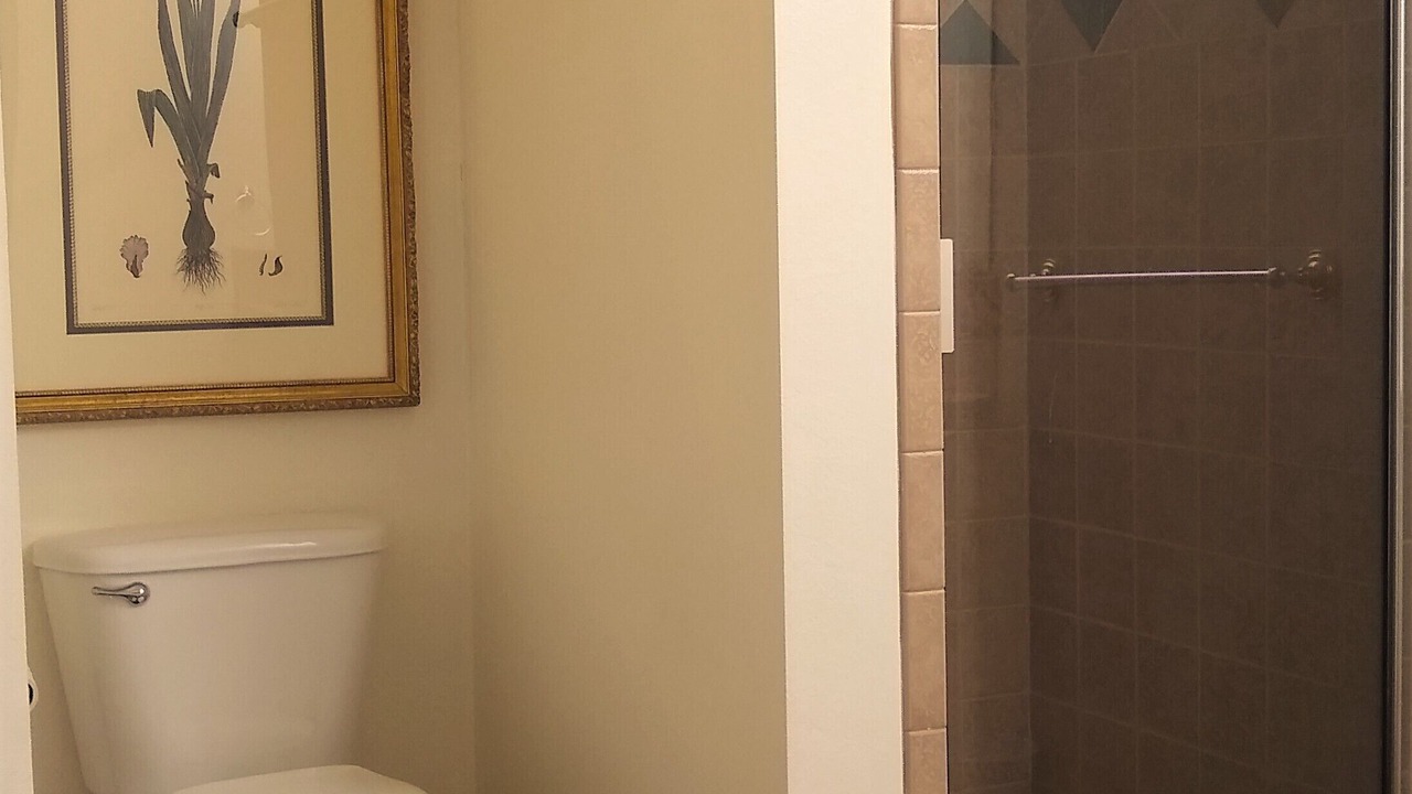 Photo of Bathroom in Mineola
