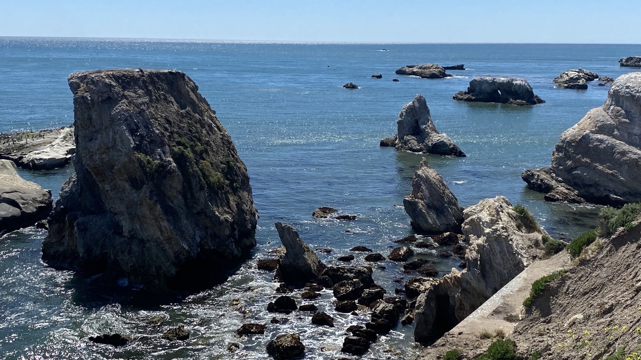 Photo of Others in Shell Beach