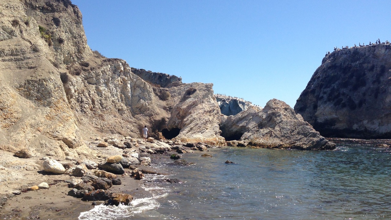 Photo of Others in Shell Beach