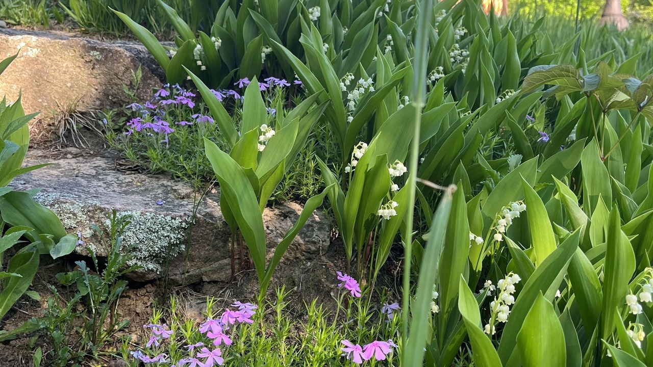 Photo of Outdoor in Nominingue