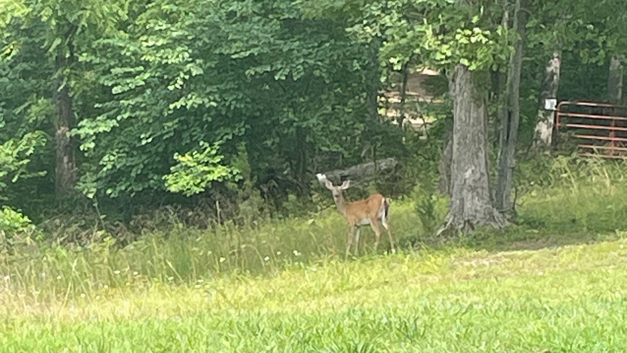 Photo of Outdoor in Redford
