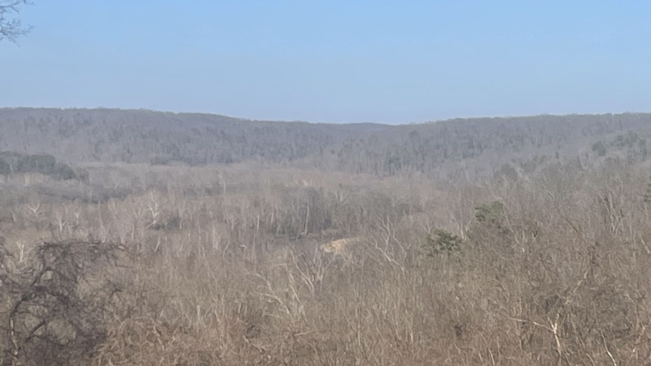 Photo of Outdoor in Redford