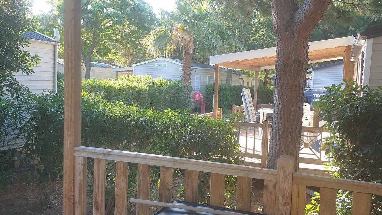 Photo of Outdoor in Saint-Cyprien