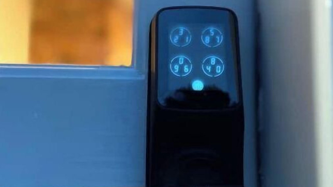 Photo of Others in Tisbury