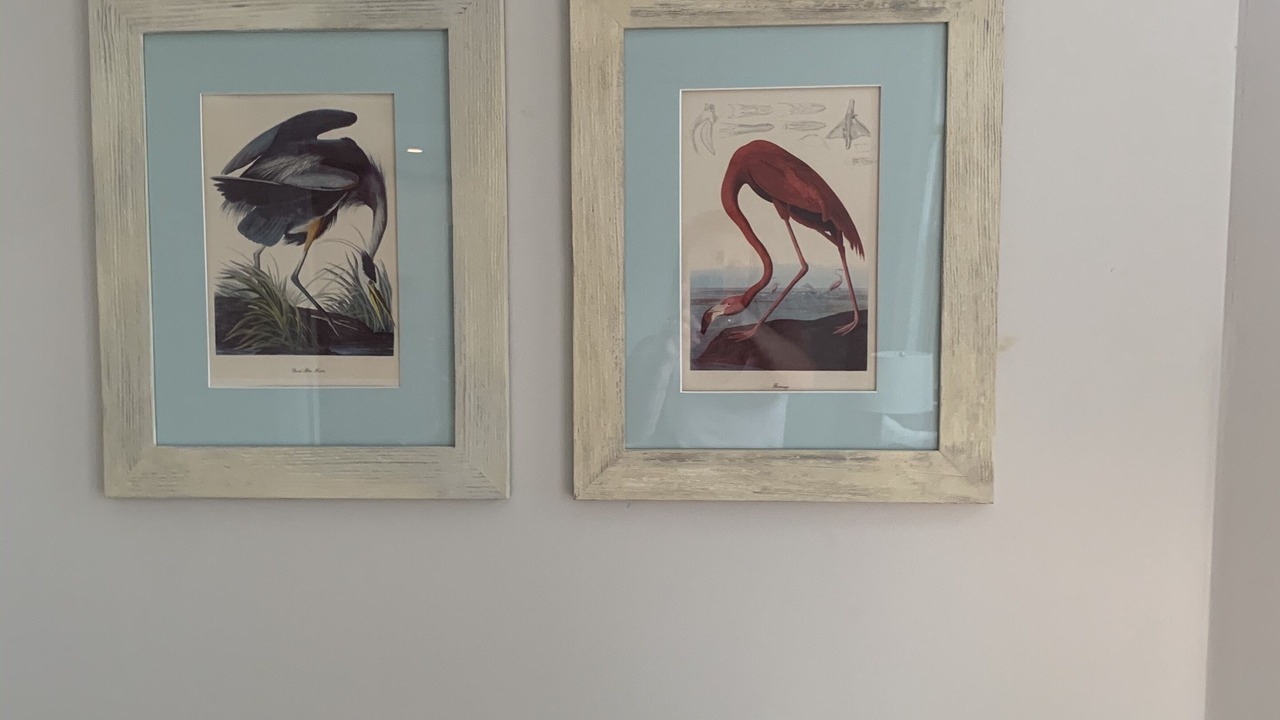 Photo of Others in Cape Charles