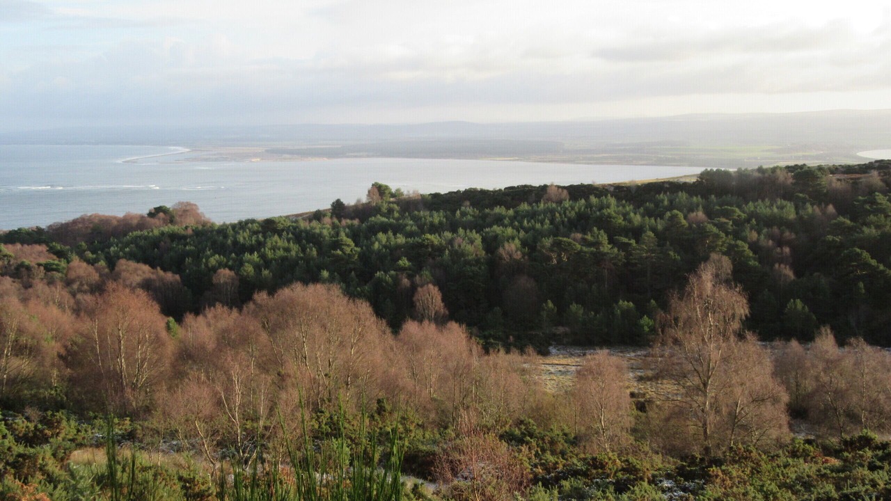 Photo of Others in Fortrose