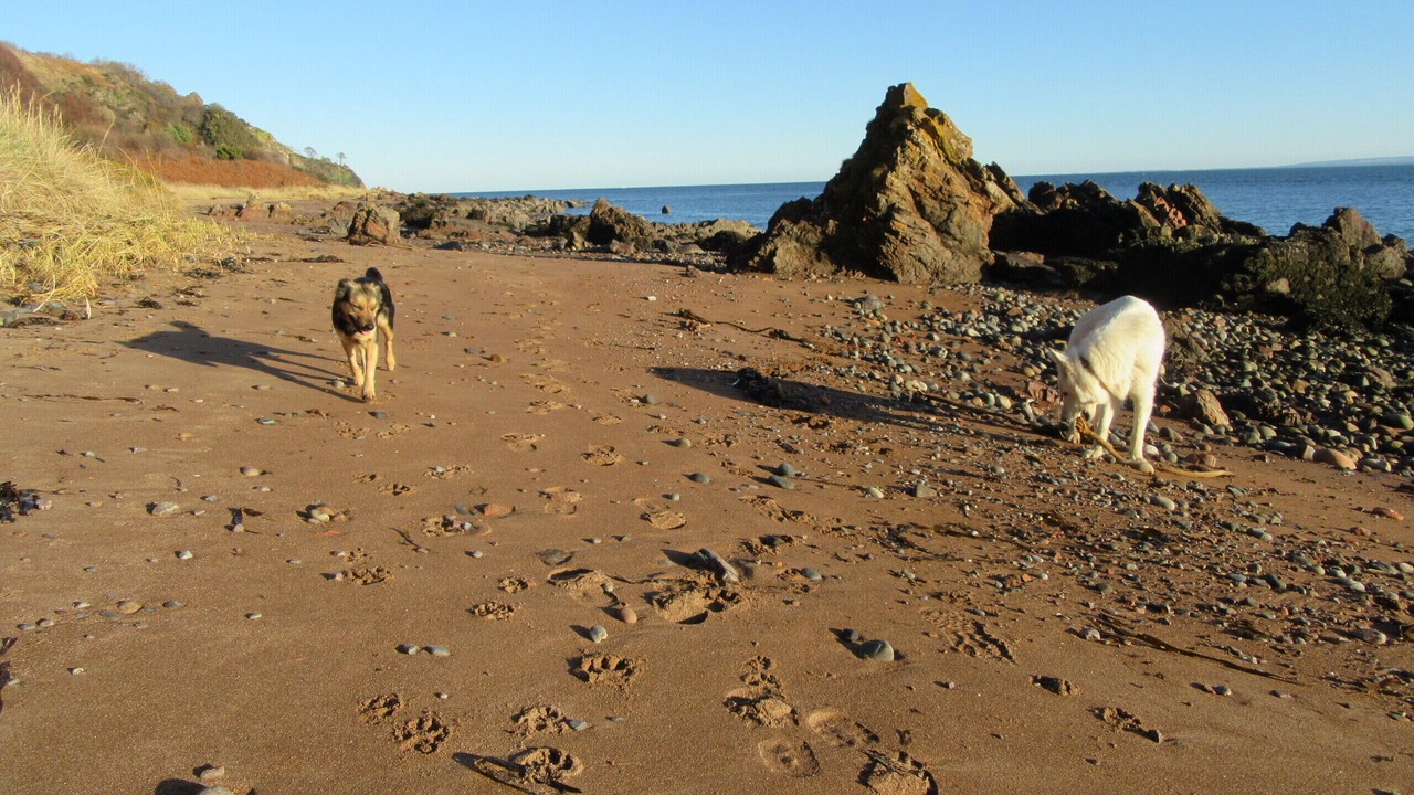 Photo of Others in Fortrose