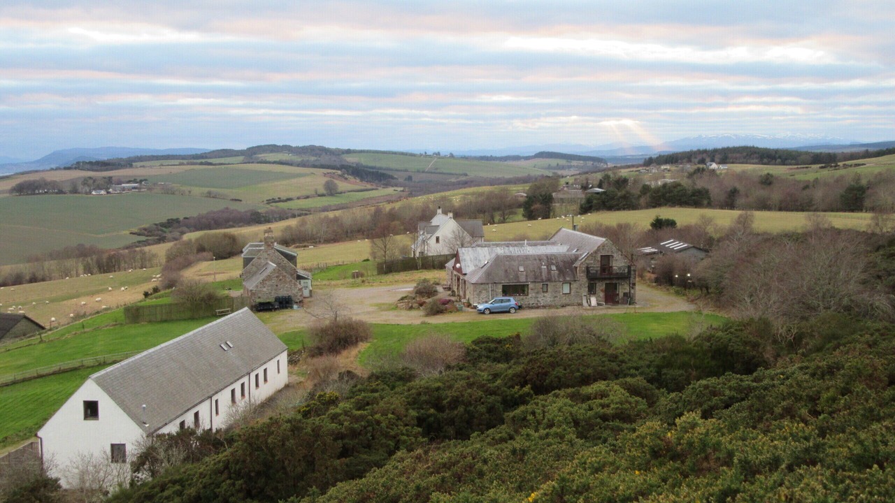 Photo of Others in Fortrose