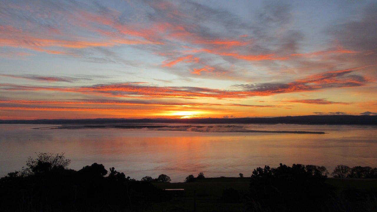 Photo of Others in Fortrose