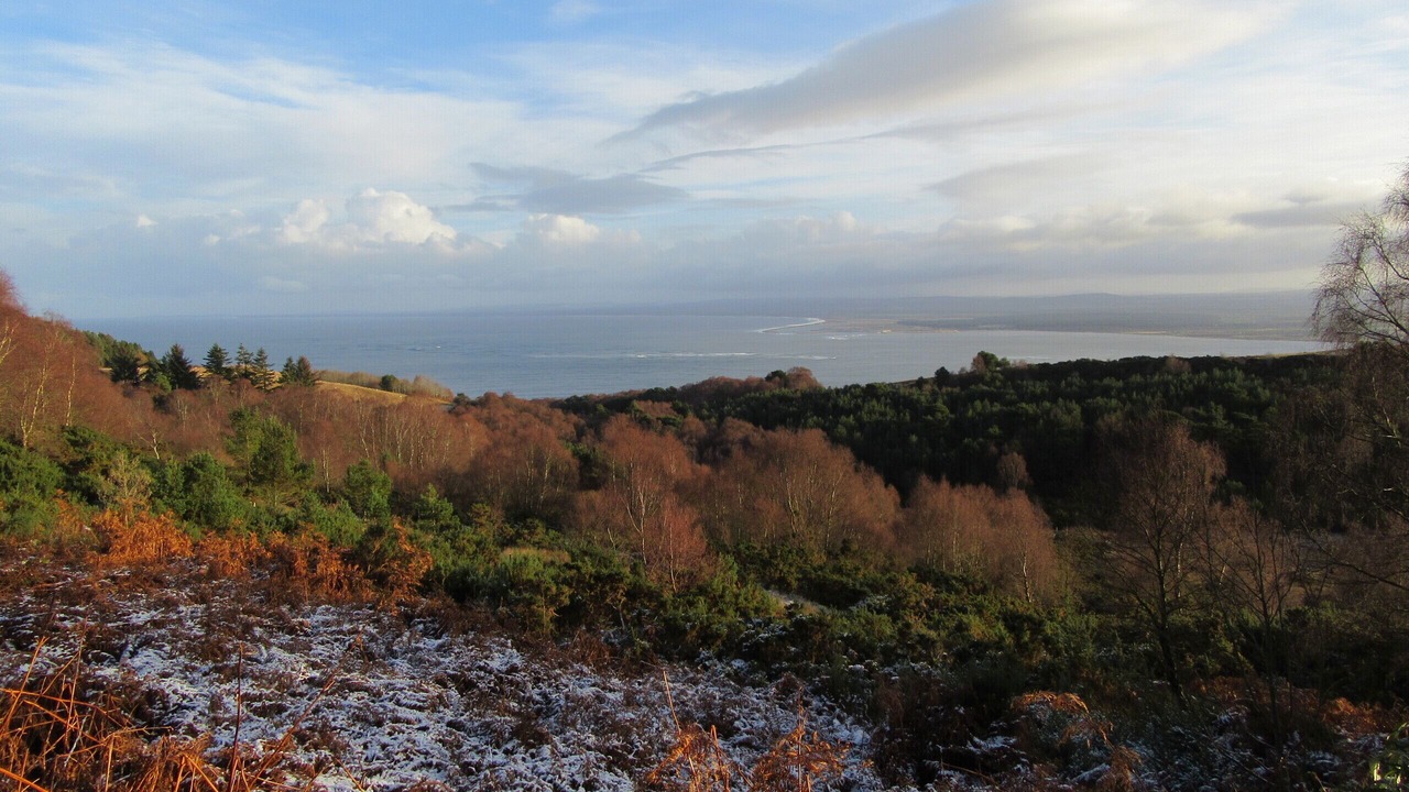 Photo of Others in Fortrose